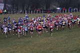 IMG 6278