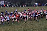 IMG 6280