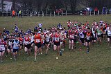 IMG 6281