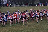 IMG 6282