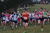 IMG 6284