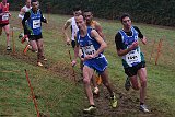 IMG 6317