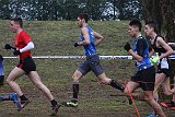 IMG 6159