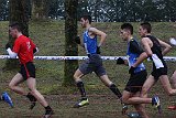 IMG 6161