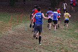 IMG 6178