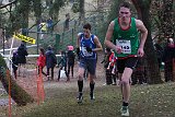 IMG 6185