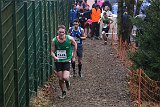 IMG 6192