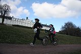 IMG 6973