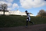 IMG 6984