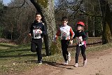 IMG 6499