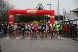 IMG 8015