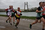 IMG 8111