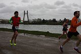 IMG 8250
