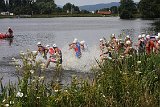 IMG 1003