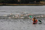 IMG 1012