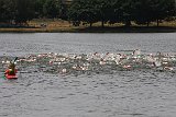 IMG 1014