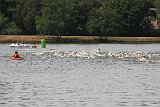 IMG 1017