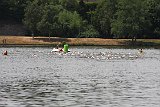IMG 1019