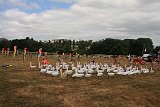 IMG 1609