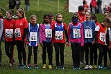 IMG 3627