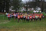 IMG 3641