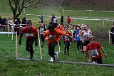 IMG 3644