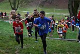 IMG 3646