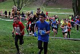 IMG 3647