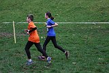IMG 3661