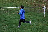 IMG 3664