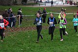 IMG 3668