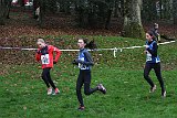 IMG 3669