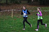 IMG 3670