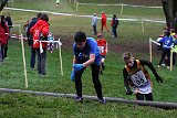 IMG 3677