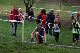 IMG 3680