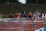 IMG 4887