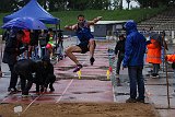 IMG 4940