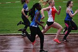 IMG 4949