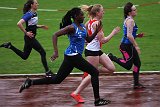 IMG 4950