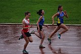 IMG 4951