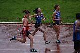 IMG 4952
