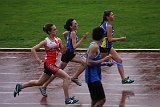 IMG 4953