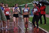 IMG 5036