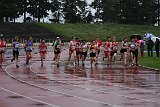 IMG 5039