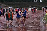 IMG 5174