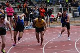 IMG 5312