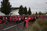 IMG 6037