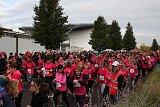 IMG 6042