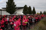 IMG 6046