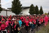 IMG 6061
